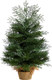 Nearly Natural 2ft. Artificial Christmas Tree in Burlap Base with 35 Warm White LED Lights